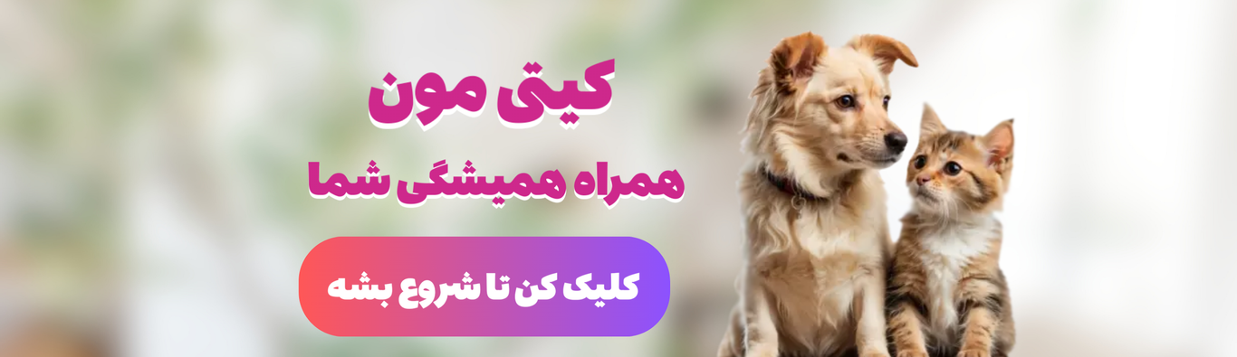محصولات کیتی مون